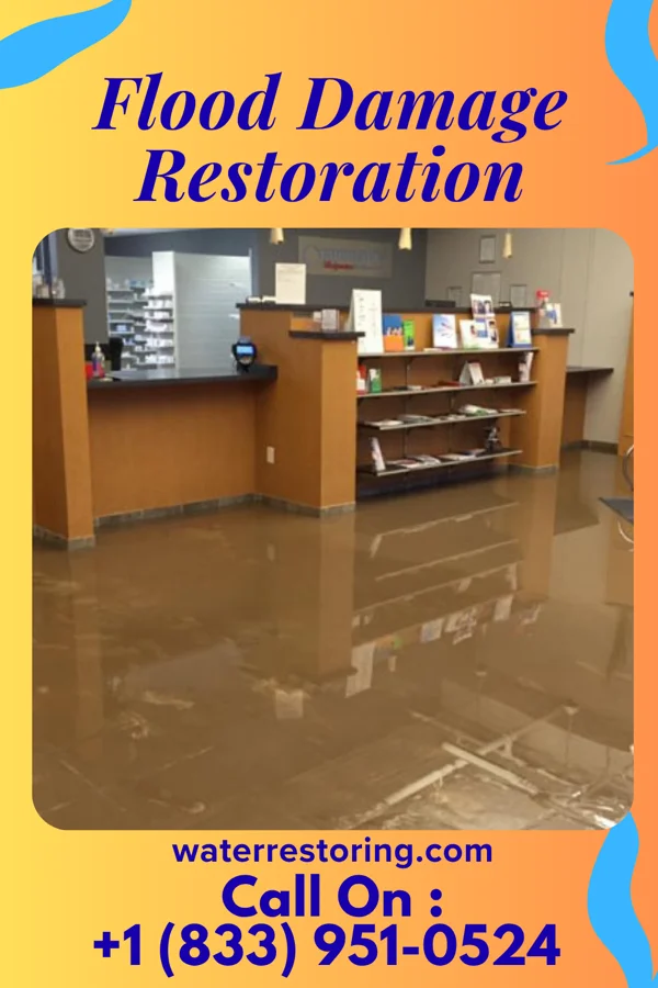 Flood Damage Restoration in Butler, IL