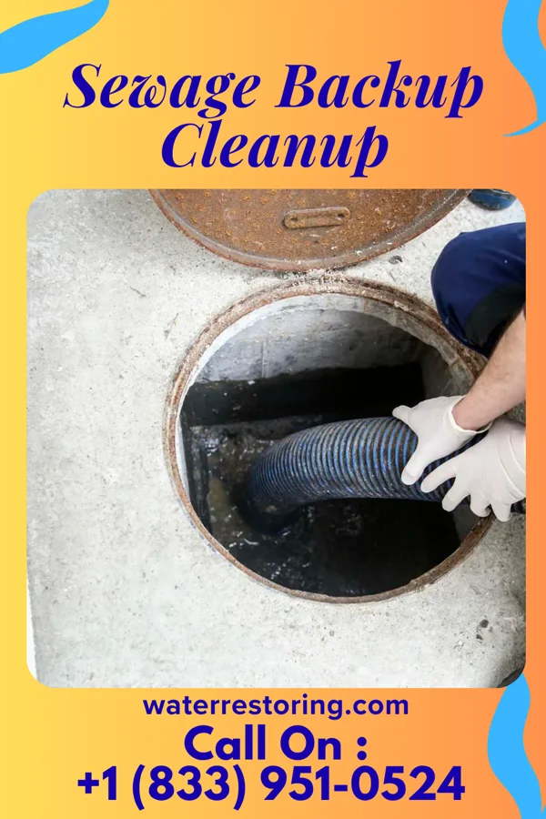 Sewage Backup Cleanup in Butler, IL