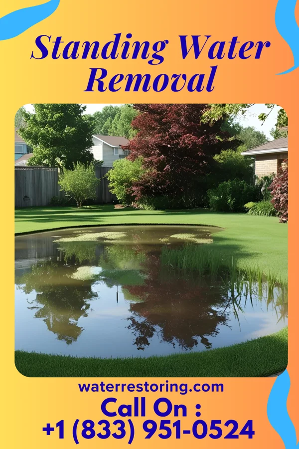 Standing Water Removal in Butler, IL